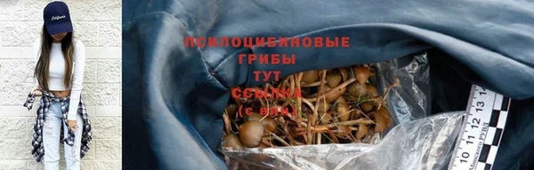 Альфа ПВП Нефтекумск